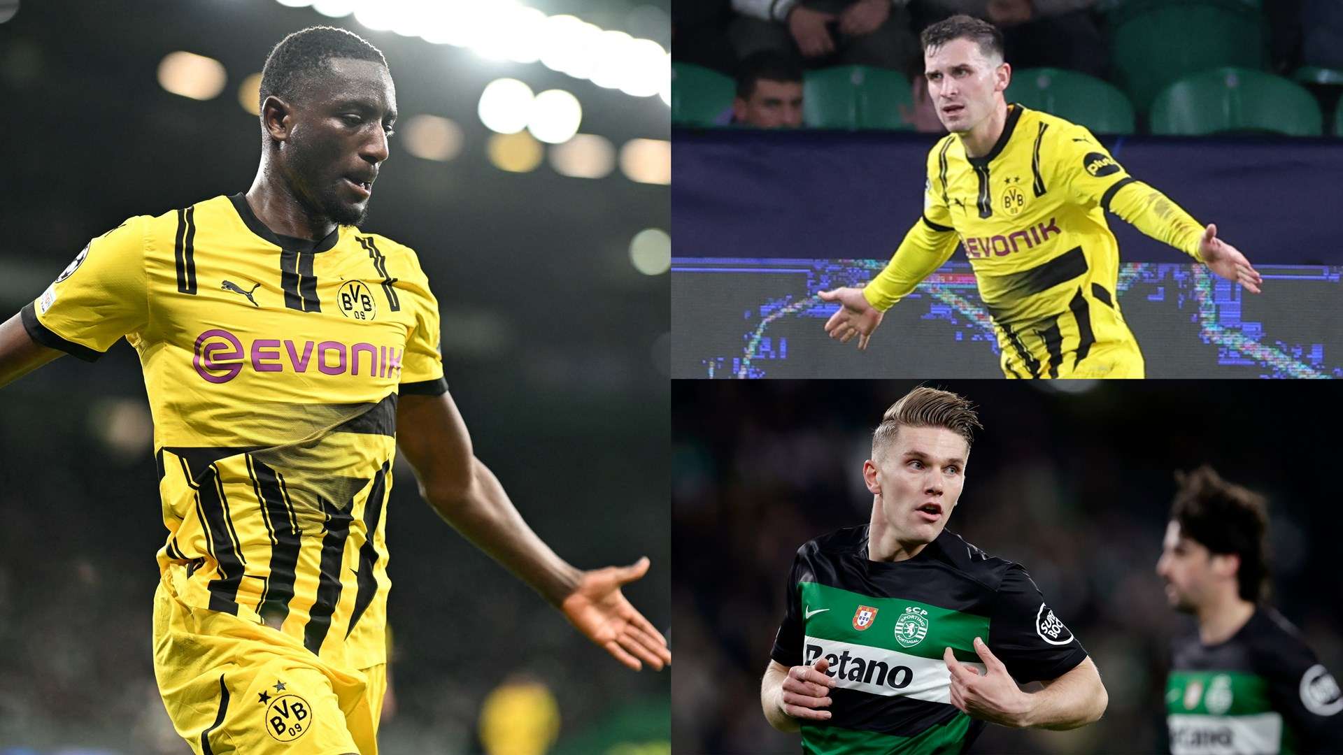 他的多维度 他的多维度