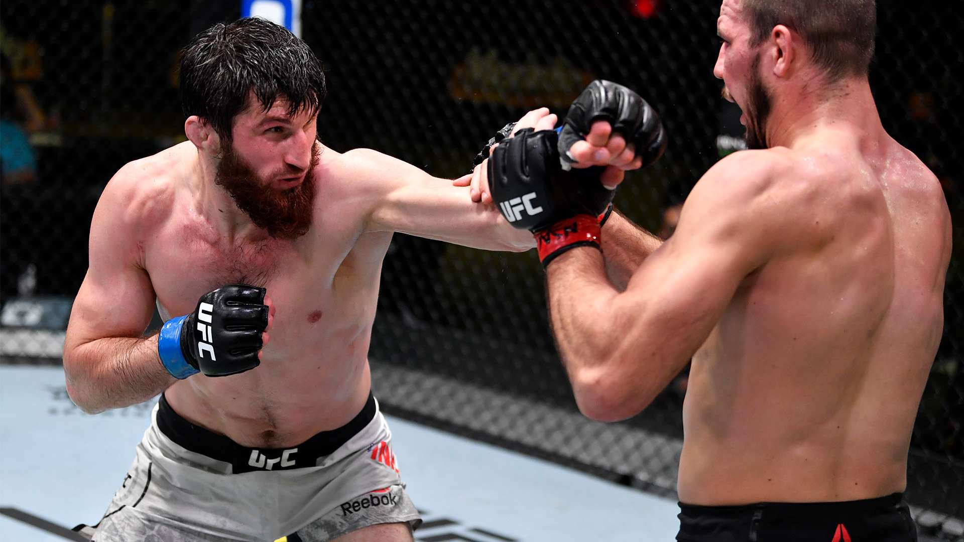 强大的实力 强大的实力